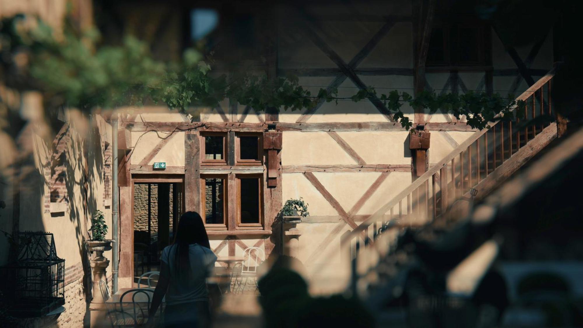 Le Champ Des Oiseaux Hotel & Spa Труа Екстер'єр фото